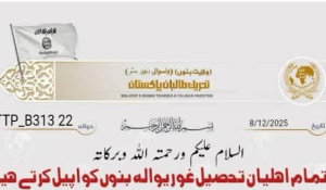 en/2025/12/09/ttp-released-a-message-addressing-locals-in-bannu-khyber-pakhtunkhwa