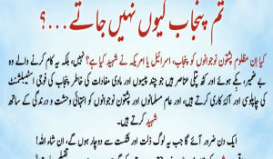 en/2026/10/21/tkd-monitorings-ttp-responds-to-question-over-why-it-does-not-operate-in-punjab