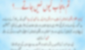en/2026/10/21/tkd-monitorings-ttp-responds-to-question-over-why-it-does-not-operate-in-punjab