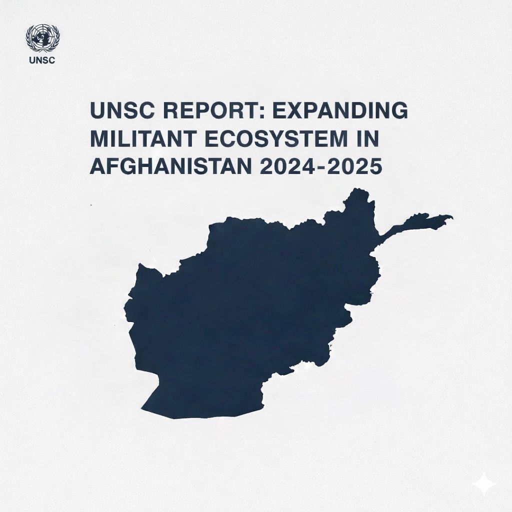 UNSC report warns of expanding militant ecosystem in Afghanistan with regional security risksimage
