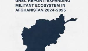 en/2026/02/11/unsc-report-warns-of-expanding-militant-ecosystem-in-afghanistan-with-regional-security-risks